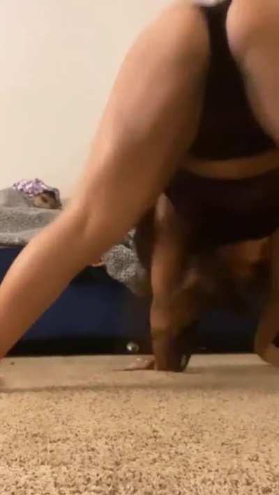 twerk that ass bitch