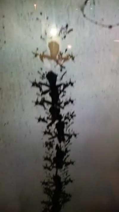 Found this masterpiece on a late overnight shift.