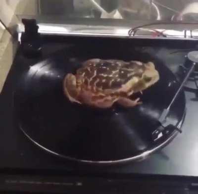 The sound quality is ribbeting!