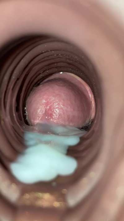 Nothing beats a cream filled ponut (Jack&rsquo;s butt, WD)