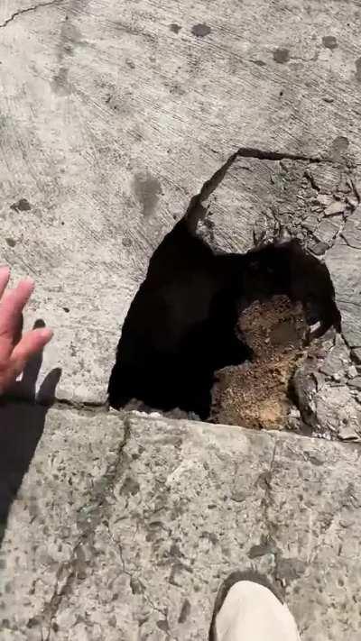 One more thing to worry about while walking N.Y.C sidewalks