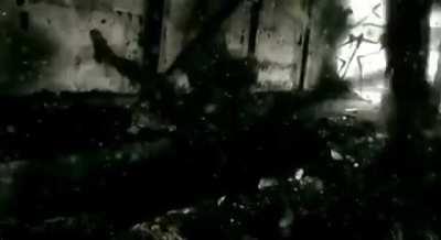 cursed_whatever_the_hell_this_is