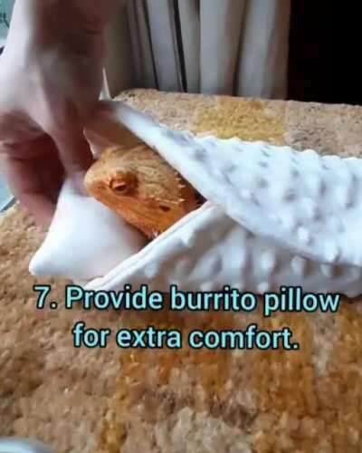 Who loves a good ol' beardie burrito?