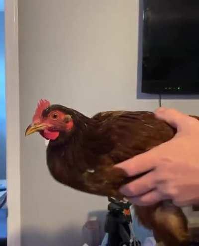 bro got the in built gimbal tech