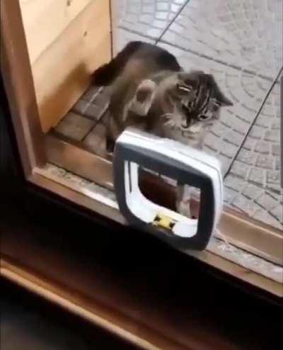 Legend has it that he is still going...