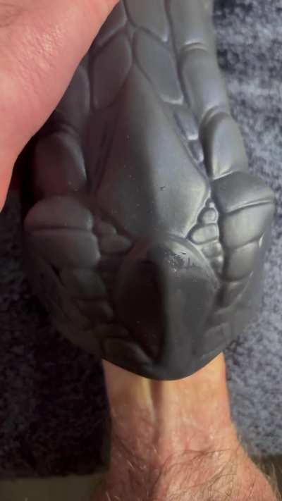 Another day breeding my favorite boy 🥴