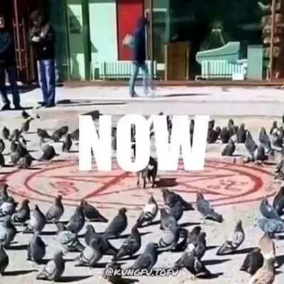 Day 58, watch me yohhhh