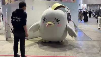 Why did man punch Peroro? Is he a momofriends hater ?