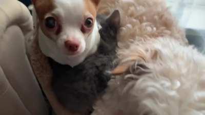 Spent a lot of money on beds..