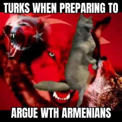 stay stronk my azerbaijani bros🇹🇷🤜🤛🇦🇿💪