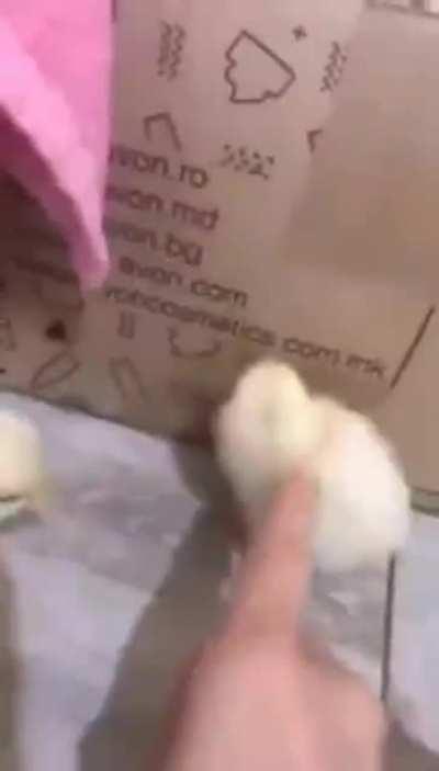 Yo that’s my man …