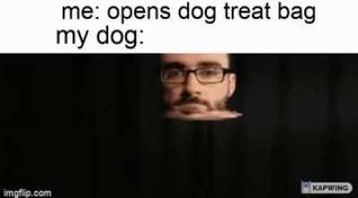 why does he hear the moment the bag opens but is deaf when i tell him commands