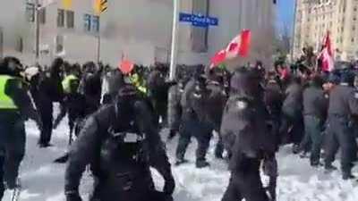 Mass arrests have begun...