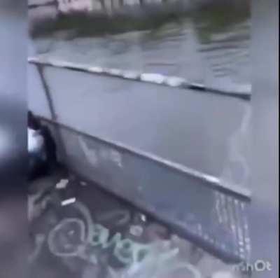 Stupidity at it’s best