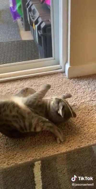 Get it off! Get it off!