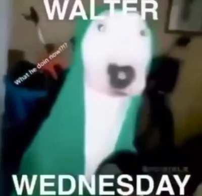 walter