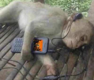 All my homies love bobby