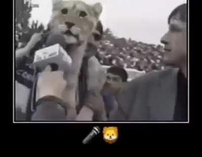 Lioness the broadcasted