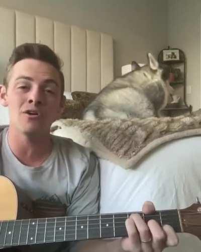 Listen to me, let's make a band. You will play the guitar, and let me take care of the singing part hát