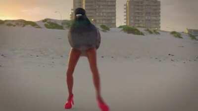 haha funny video, but remember kids, birds aren’t real.