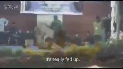 WTF Amigo 🥶🥶 Pelea nivel admin 😱 bastante epico 😎