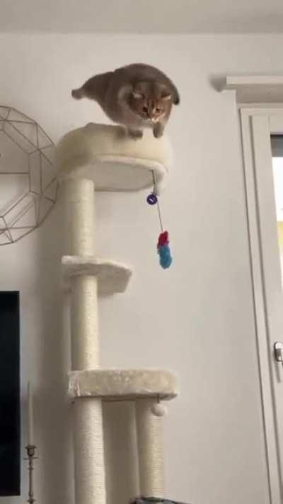 Hasn't taken wind resistance into consideration..