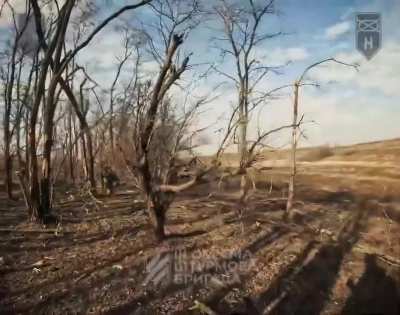 Ukrainian "Karakurt Colony" of the 2nd Mechanized Battalion of the 3rd SABr assaulted a Russian position during the liberation of the village of Nadiia in Luhansk region. April 2025