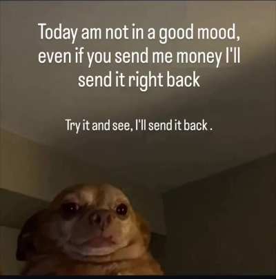 Dont do it 🤣🤣🤣