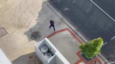 Aussie Magpie have it in for the young fella. Sorry about the audio