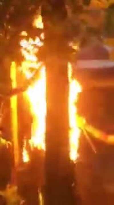 Awami League, Jubo League and Chhatra League terrorists wearing helmets, armed with machetes and rods chant Joy Bangla and attack and torch BNP leader freedom fighter MA Malek's house in Sylhet. #AwamiTerrorism #MotherOfTerrorismSheikhHasina #MotherOfMafi