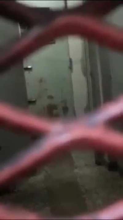 Presos amenazaron a una de las lacras detenidas por el crimen de Morena