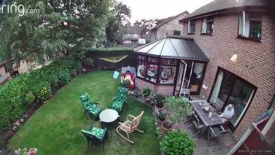 Just relaxing in the garden.....