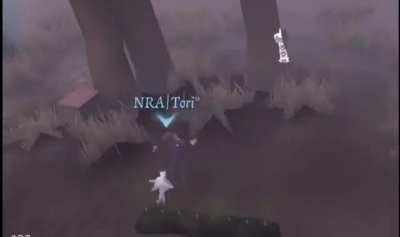 i like when they fly like 6 feet when getting downed