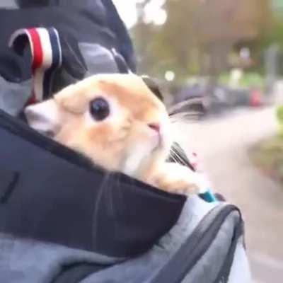 Just Enjoying The View