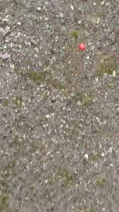 [Loud] Science is cool!