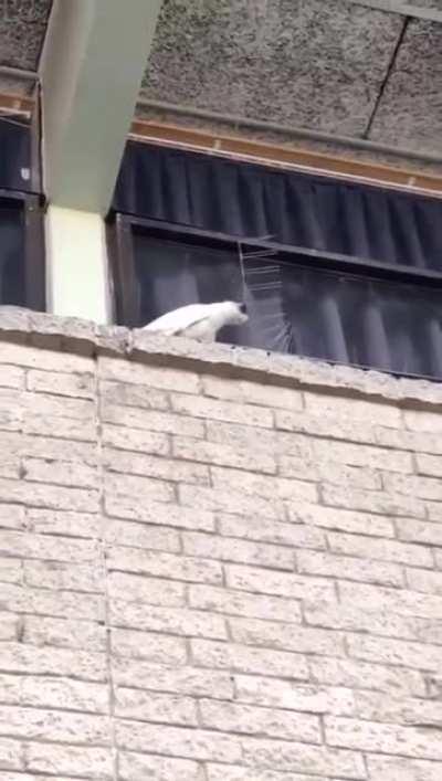 Somebody going to be all WTF