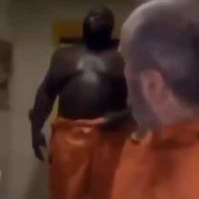 Is This What Tool Sang About?