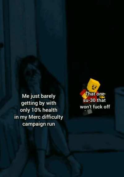 Always the SU-30/SK-30, ALWAYS