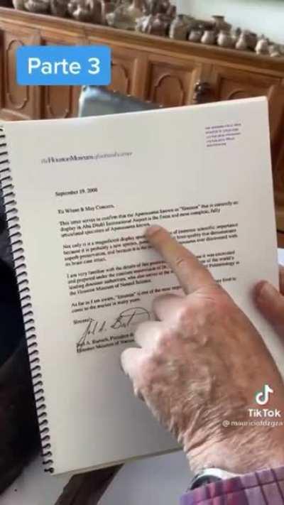 Oigan, los tiktoks de Mauricio Fernández sí están interesantes