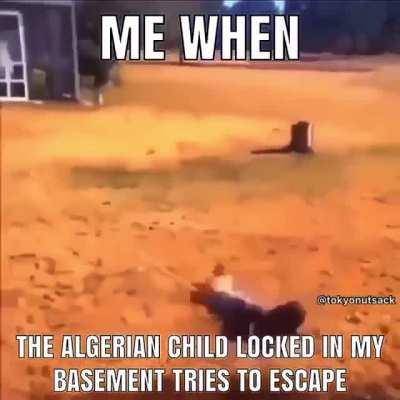 Get back here you rapscallion..