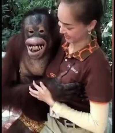 Only tried it on with the zookeepers missus