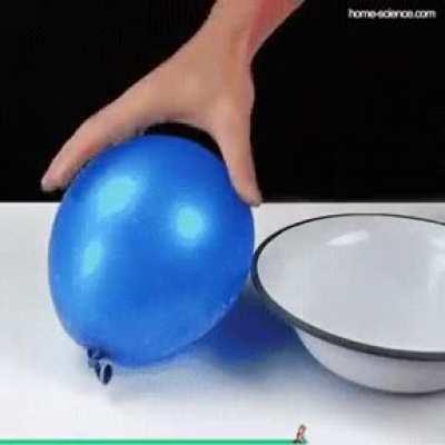 W H A T T H E F U C K