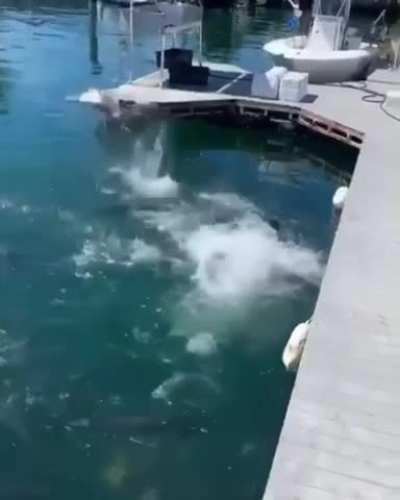 Catch of the day....