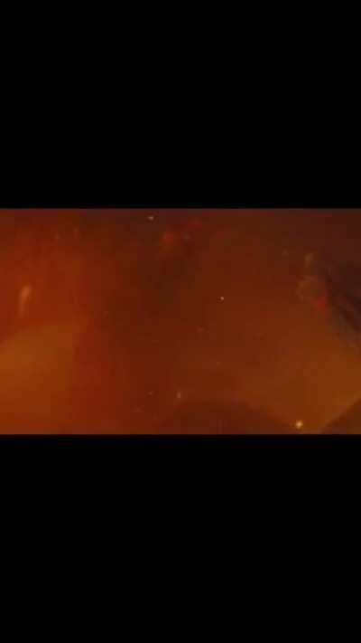 Long live the King. Nothing gross, the nsfw tag was just to be safe