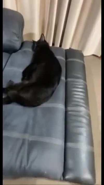 Sleeping so peacefully...