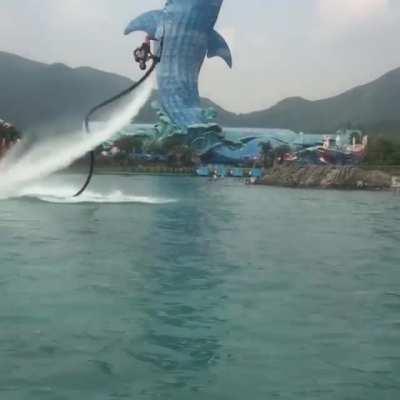 Hold My Hover Thingie.