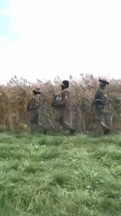 What a Timeline to be Alive