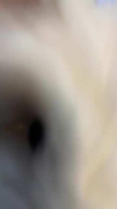 The Final Boss, Tobi the Calamitous!