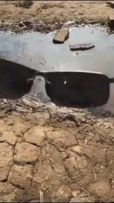 Polarized fishing glasses in action