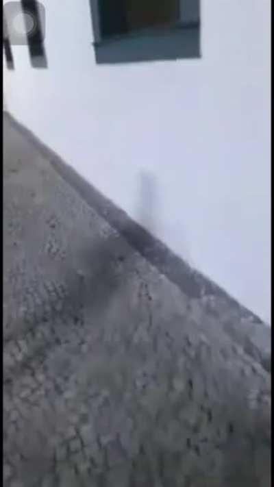 Queria ser assim em um casamento